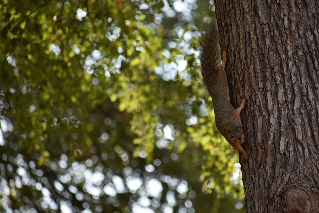 力球员的发 力球员的发