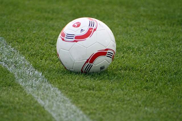 湖人新賽季挑戰西部競爭 魔術師認為需尋求第三球星以保持戰績穩定.