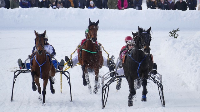 在案例分析 在案例分析